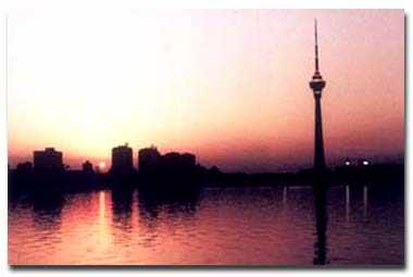 ����V���ҕ���L���D