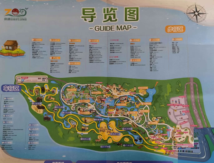 ��ͨɭ��Ұ������@���ΈD