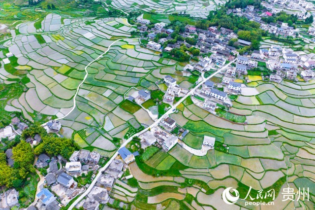 �����F��л�Ϫ�^(q��)��������������Wӛ�� Ϳ���z