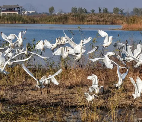 ���Տ]���������S���ϲӭ�����á���